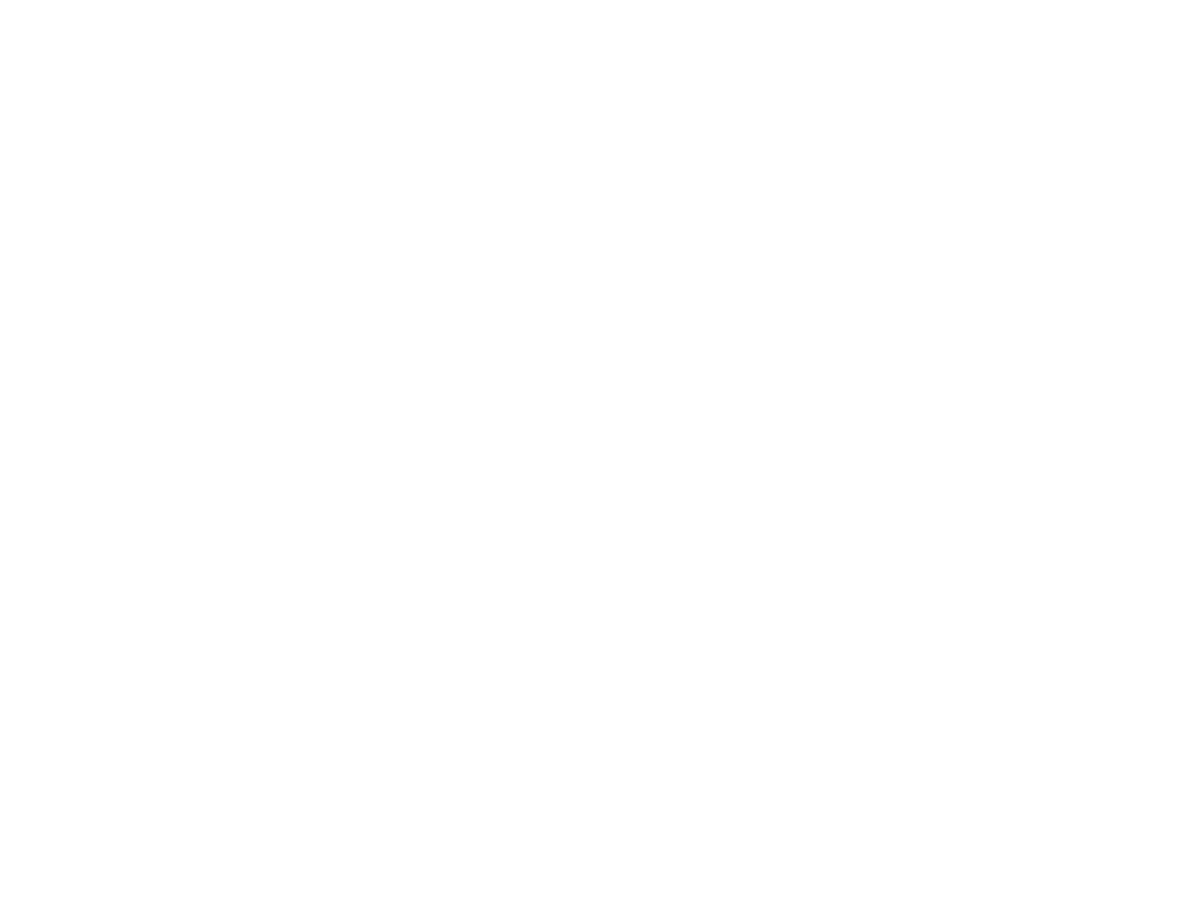 Blitzsauber Logo